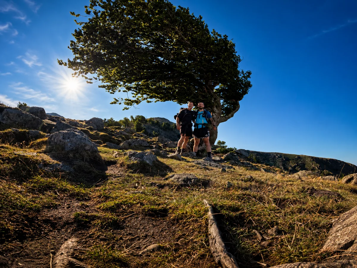 Randonneurs à l'ombre d'un arbre