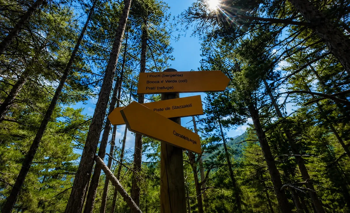 Forêt de Stazzaloli, début du sud