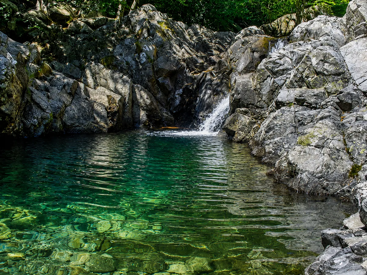 Forêt de Vizzavona & cascade des Anglais