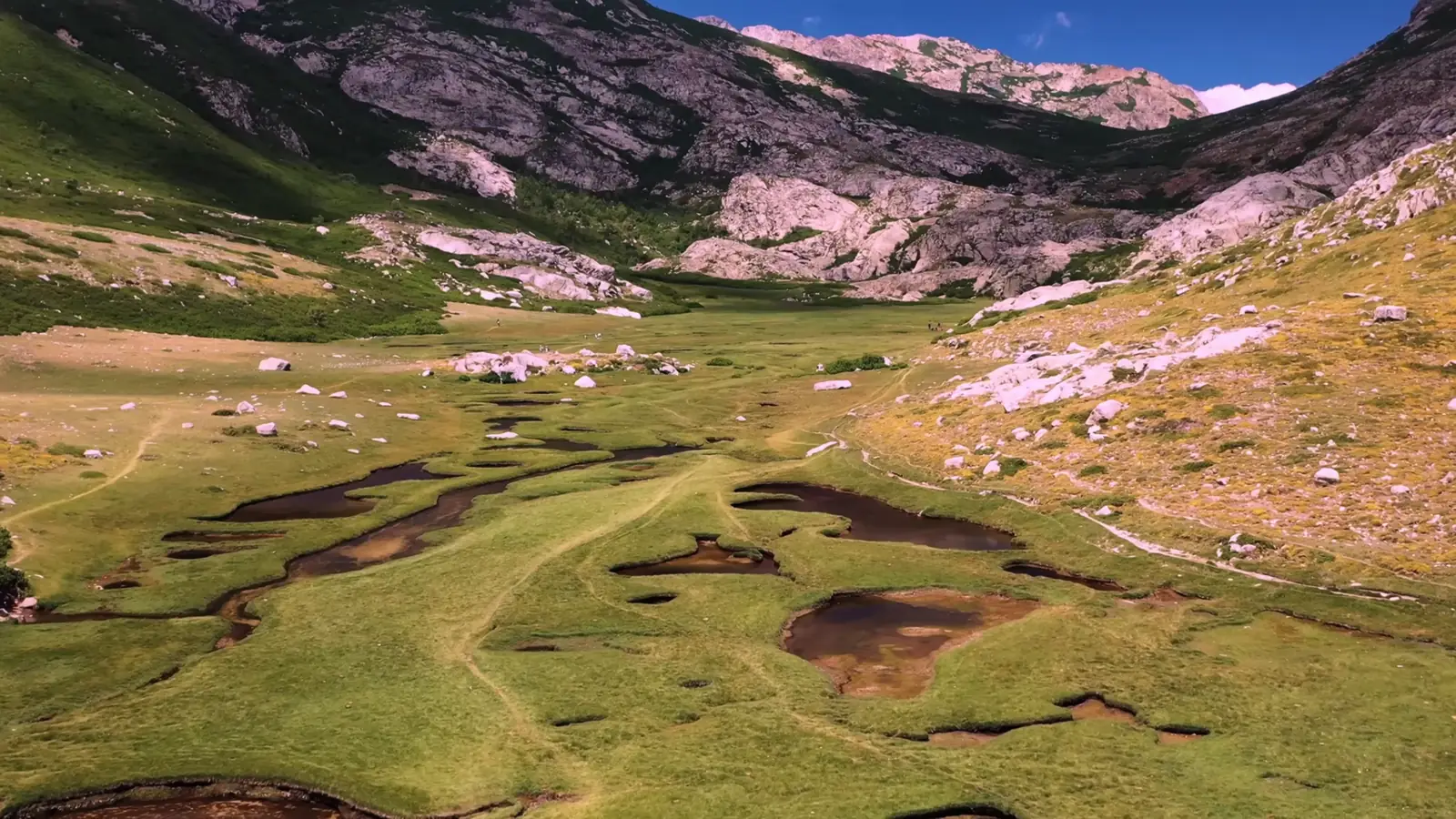 Pozzines et laquets du plateau à l'approche du refuge de Manganu